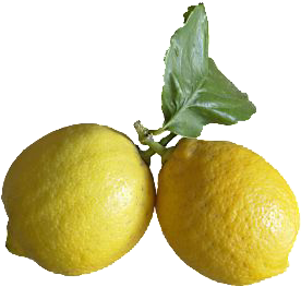 http://bylinky.wz.cz/citrony.PNG
